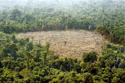 MPF denuncia Incra por desmatar a Amazônia