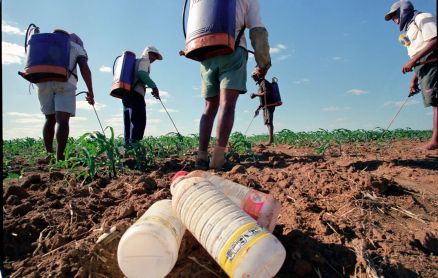 Embalagens de agrotóxicos têm destino seguro em 80% do País